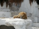 天王寺動物園に投稿された画像（2021/3/29）