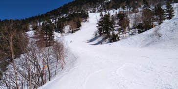 志賀高原マウンテンリゾートに投稿された画像（2021/3/29）