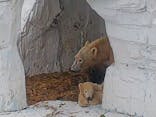 天王寺動物園に投稿された画像（2021/3/29）
