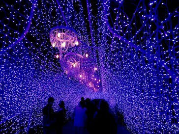 江の島シーキャンドルに投稿された画像（2021/2/21）