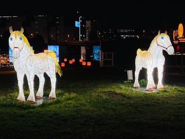 東京メガイルミに投稿された画像（2021/3/29）