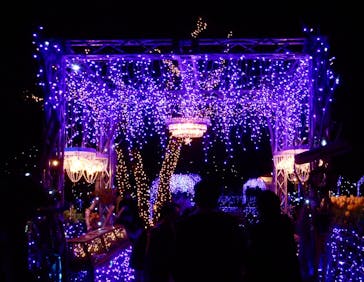 江の島シーキャンドルに投稿された画像（2021/2/21）