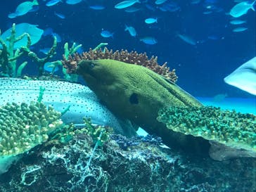 サンシャイン水族館に投稿された画像（2021/3/29）