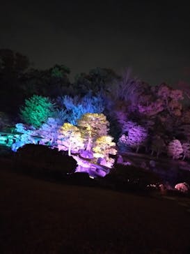 二条城×ネイキッド 二条城夏まつり2021に投稿された画像（2021/3/29）