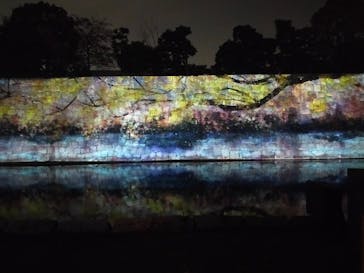 二条城×ネイキッド 二条城夏まつり2021に投稿された画像（2021/3/29）