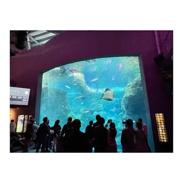 新江ノ島水族館に投稿された画像（2021/3/29）