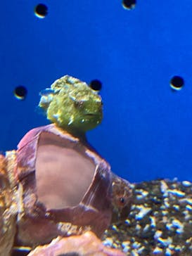 サンシャイン水族館に投稿された画像（2021/3/29）