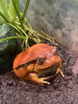 サンシャイン水族館に投稿された画像（2021/3/29）