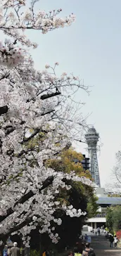 天王寺動物園に投稿された画像（2021/3/29）