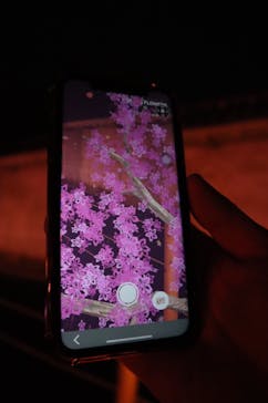 二条城×ネイキッド 二条城夏まつり2021に投稿された画像（2021/3/29）