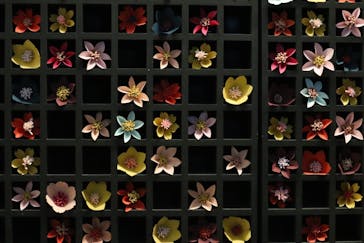 二条城×ネイキッド 二条城夏まつり2021に投稿された画像（2021/3/29）