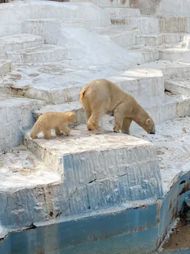 天王寺動物園に投稿された画像（2021/3/30）