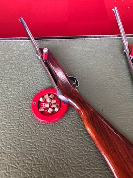 グリーンランドに投稿された画像（2021/3/30）