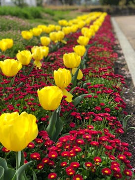 九十九島動植物園森きららに投稿された画像（2021/3/30）