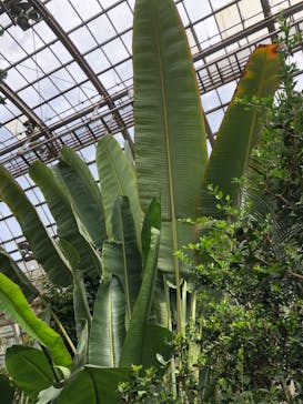 九十九島動植物園森きららに投稿された画像（2021/3/30）