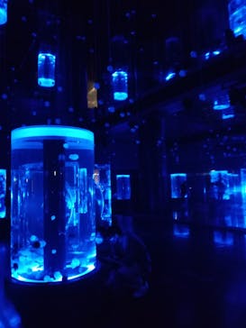 マクセル アクアパーク品川に投稿された画像（2021/3/30）