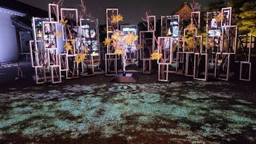 二条城×ネイキッド 二条城夏まつり2021に投稿された画像（2021/3/30）