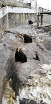 のぼりべつクマ牧場に投稿された画像（2021/3/30）