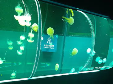 すみだ水族館に投稿された画像（2021/3/30）