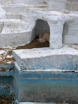 天王寺動物園に投稿された画像（2021/3/30）