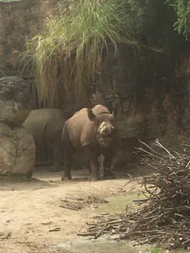 天王寺動物園に投稿された画像（2021/3/30）