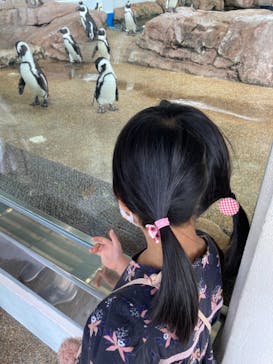 京都水族館に投稿された画像（2021/3/30）