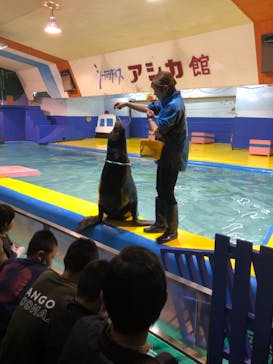 ゼロ距離水族館 伊勢シーパラダイスに投稿された画像（2021/3/30）