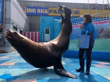 ゼロ距離水族館 伊勢シーパラダイスに投稿された画像（2021/3/30）