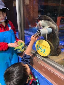 ゼロ距離水族館 伊勢シーパラダイスに投稿された画像（2021/3/30）