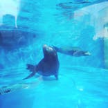 サンシャイン水族館に投稿された画像（2021/3/30）