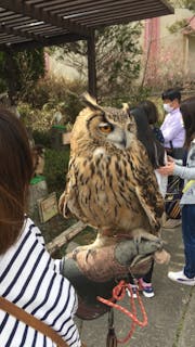 那須ハイランドパーク 口コミ一覧 アソビュー 那須ハイランドパーク 口コミ一覧 アソビュー