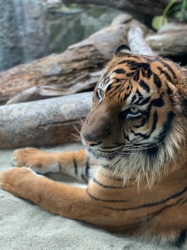 神戸どうぶつ王国に投稿された画像（2021/3/30）