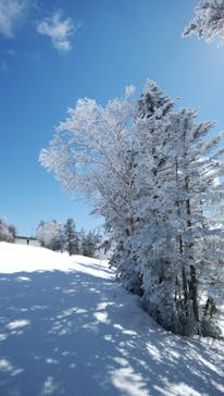 横手山・渋峠スキー場に投稿された画像（2021/3/30）