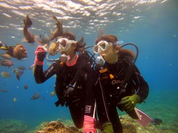 DIVING-SHOP SUNSに投稿された画像（2021/3/30）