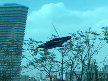 サンシャイン水族館に投稿された画像（2021/3/30）