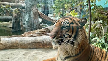 神戸どうぶつ王国に投稿された画像（2021/3/30）