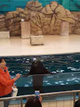 鳥羽水族館に投稿された画像（2021/3/30）