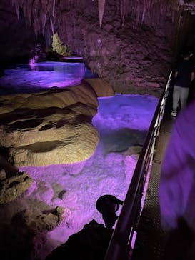 おきなわワールドに投稿された画像（2021/3/30）