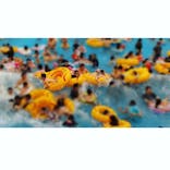 東京サマーランドに投稿された画像（2021/3/30）