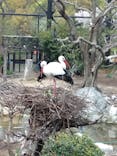 天王寺動物園に投稿された画像（2021/3/30）