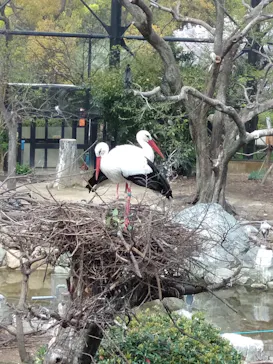 天王寺動物園に投稿された画像（2021/3/30）
