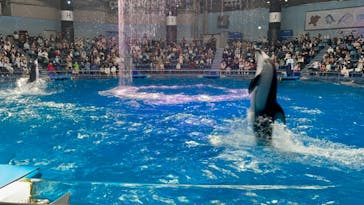 マクセル アクアパーク品川に投稿された画像（2021/3/30）