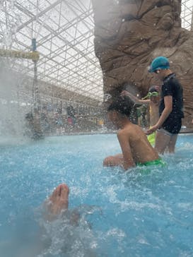 東京サマーランドに投稿された画像（2021/3/30）