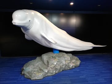 横浜・八景島シーパラダイスに投稿された画像（2021/3/30）