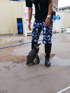 横浜・八景島シーパラダイスに投稿された画像（2021/3/30）