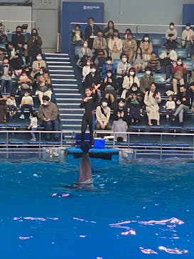 マクセル アクアパーク品川に投稿された画像（2021/3/30）