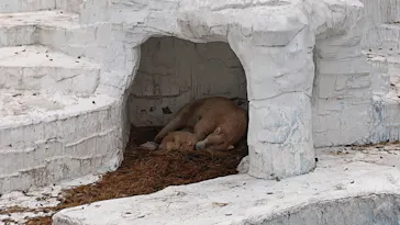 天王寺動物園に投稿された画像（2021/3/30）