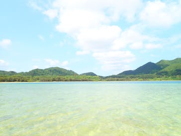 石垣島 ADVENTURE PiPi（イシガキジマアドベンチャーピピ）に投稿された画像（2021/3/30）