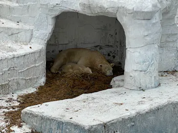天王寺動物園に投稿された画像（2021/3/30）