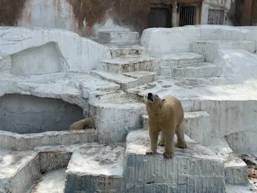 天王寺動物園に投稿された画像（2021/3/30）